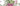 Seashells and seaweed design with pink and green colors on a white background