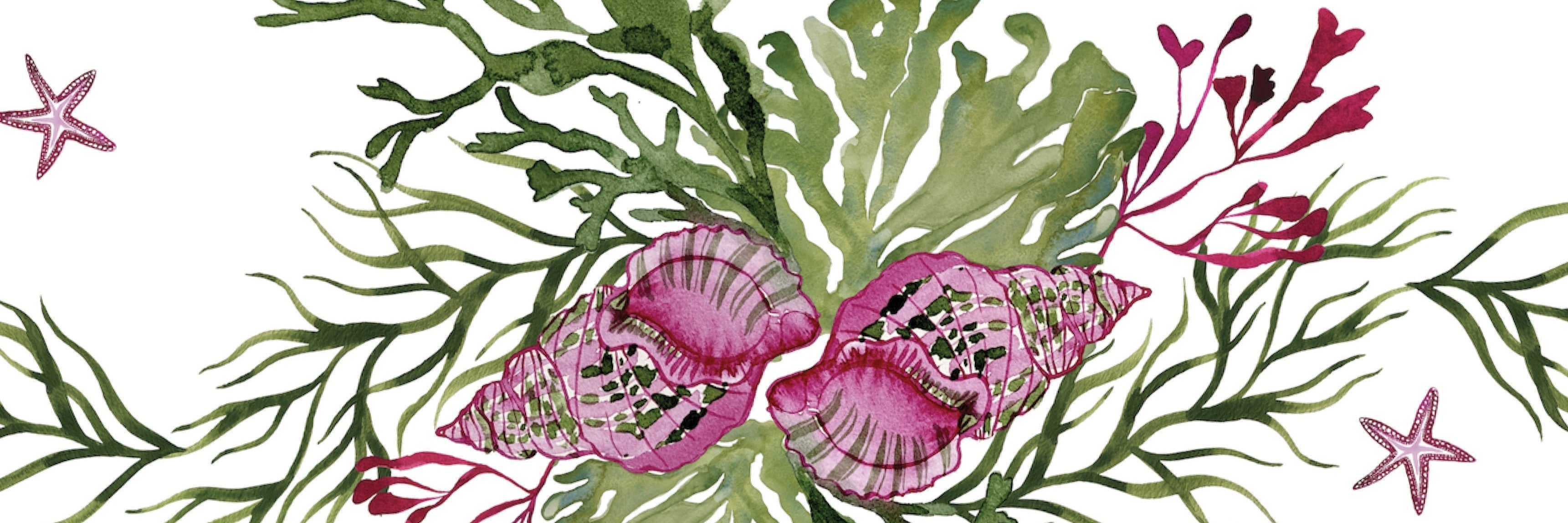 Seashells and seaweed design with pink and green colors on a white background